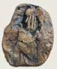 Untitled Fossil